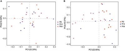 2-Hydroxy-4-(Methylthio) Butanoic Acid Isopropyl Ester Supplementation Altered Ruminal and Cecal Bacterial Composition and Improved Growth Performance of Finishing Beef Cattle